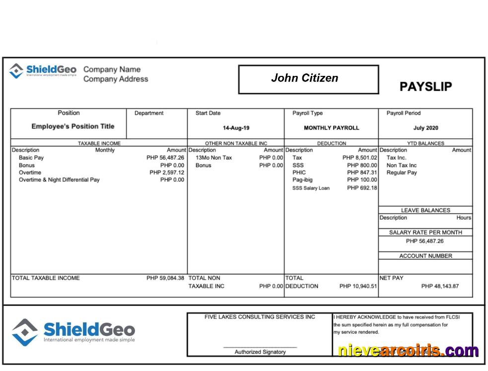 SHIELDGEO payslip